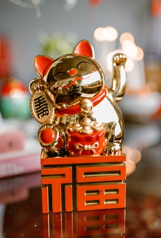 lịch sử cược Shbet